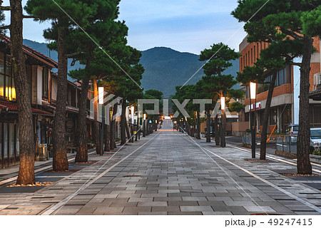 出雲大社 表参道神門通りの朝景色 49247415