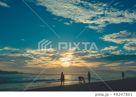 風景 海水浴場 多大浦 49247801