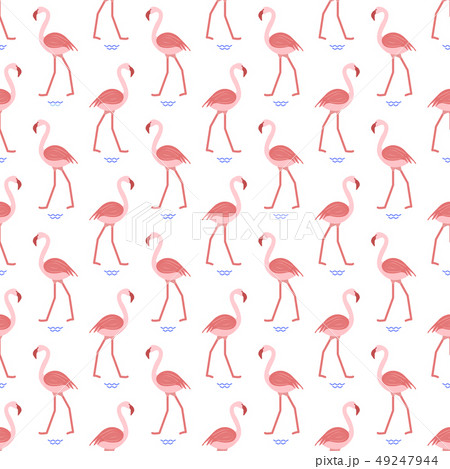 Seamless pattern with flamingo Seamless pattern with flamingo 49247944