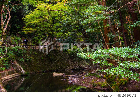 明治の森箕面国定公園・新緑の滝道の風景 明治の森箕面国定公園・新緑の滝道の風景 49249071