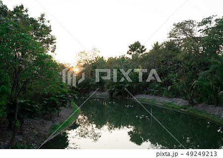 Pond in public park with Sun rise. Pond in public park with Sun rise. 49249213