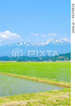 酒田市から望む初夏の鳥海山 49249618