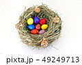 colored easter quail eggs in grass nest with bumps 49249713
