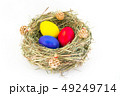 colored easter eggs in grass nest with bumps 49249714
