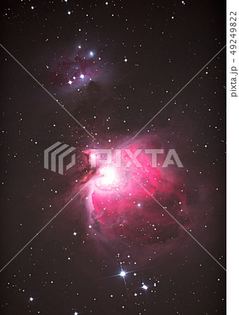 オリオン座大星雲（M42) 49249822