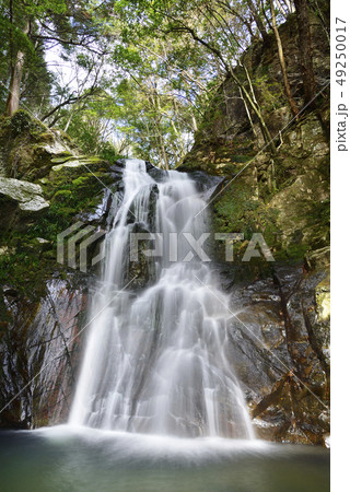 琴引の滝　雄滝（岡山県美作市） 49250017