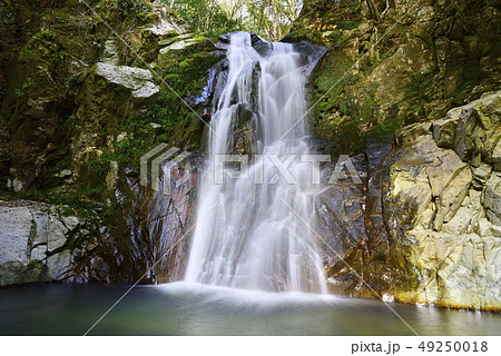 琴引の滝　雄滝（岡山県美作市） 49250018