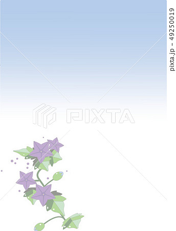 喪中ハガキ、桔梗 49250019