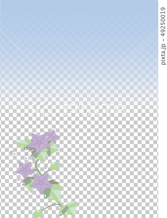 喪中ハガキ、桔梗 49250019