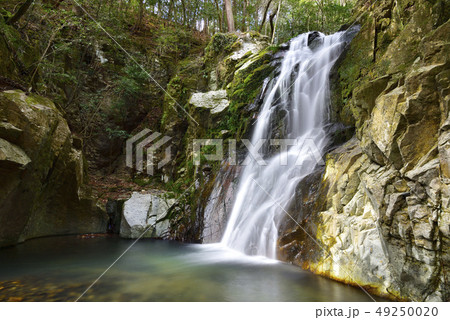 琴引の滝 雄滝(岡山県美作市) 琴引の滝 雄滝(岡山県美作市) 49250020
