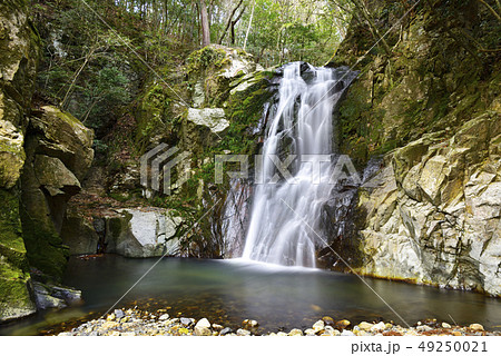 琴引の滝　雄滝（岡山県美作市） 49250021