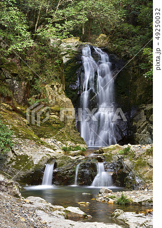 琴引の滝　雄滝　雌滝（岡山県美作市） 49250032