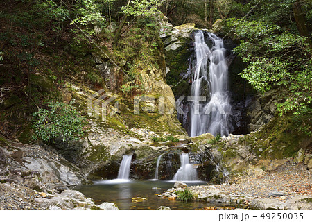 琴引の滝　雄滝　雌滝（岡山県美作市） 49250035