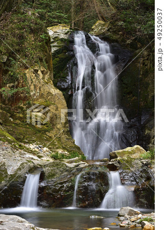 琴引の滝　雄滝　雌滝（岡山県美作市） 49250037