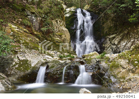 琴引の滝　雄滝　雌滝（岡山県美作市） 49250041