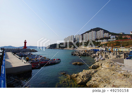 消波ブロックが並ぶ釜山影島の海岸線 49250158