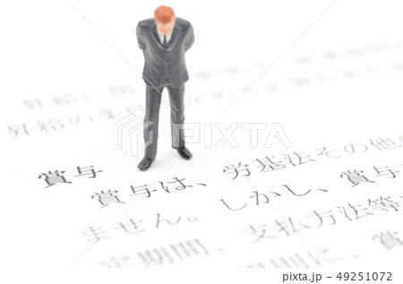 賞与 49251072