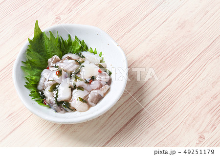 たこわさ たこわさ 49251179