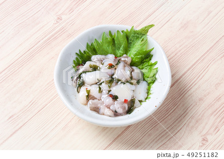 たこわさ たこわさ 49251182