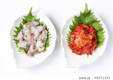 居酒屋つまみ(たこわさとチャンジャー) 居酒屋つまみ(たこわさとチャンジャー) 49251335