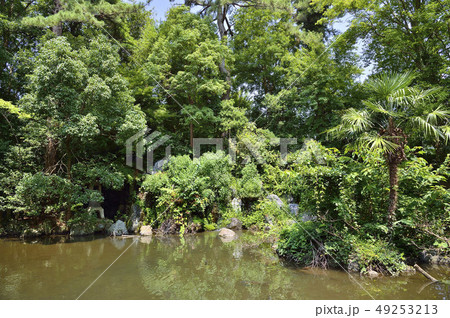 氣比神宮　神水苑 49253213