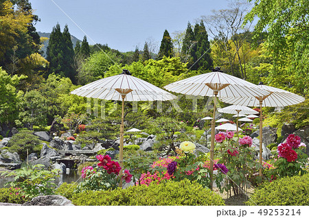 當麻寺　奥の院　浄土庭園　奈良 49253214