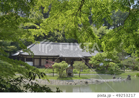 浄瑠璃寺 49253217