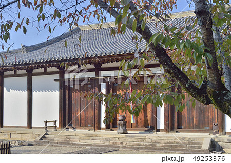 新薬師寺　国宝　本堂 49253376