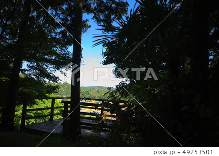 田染荘展望台 49253501