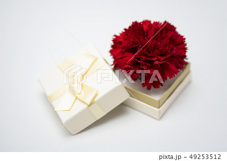 母の日　プレゼント 49253512