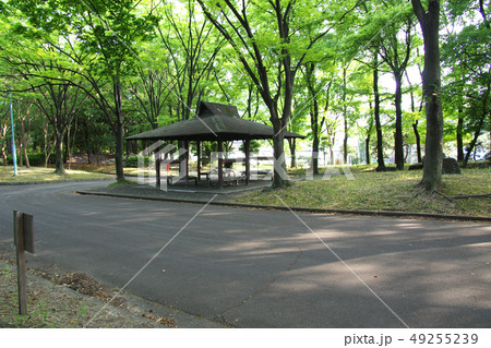荒子川公園の東屋 荒子川公園の東屋 49255239