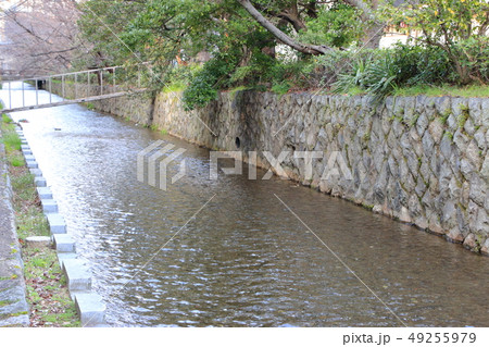 京都・高瀬川の流れ 京都・高瀬川の流れ 49255979