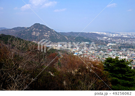 仁王山 北岳山 都市 49256062