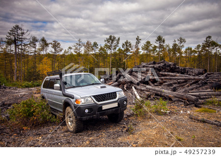 Japanese SUV in autumn forest near old logs Japanese SUV in autumn forest near old logs 49257239