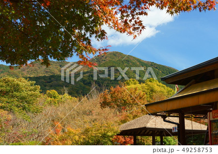 福智山麓の秋 福智山麓の秋 49258753