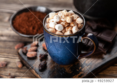 Cup of hot chocolate 49259927