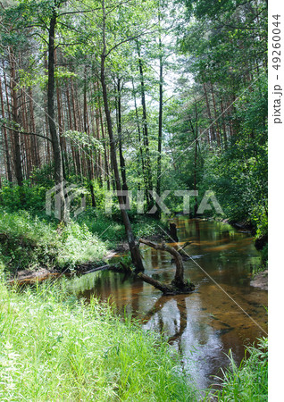 forest river forest river 49260044