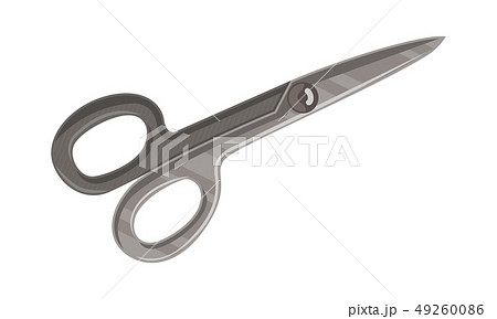 Scissor Template Vector Isolated Color Scissor Template Vector Isolated Color 49260086