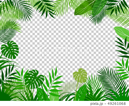 熱帯植物の葉 背景素材のイラスト素材