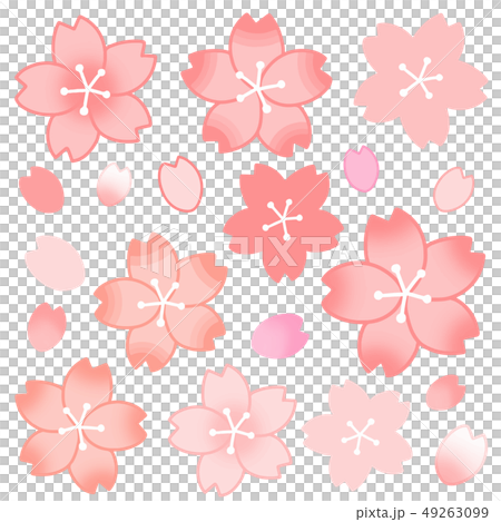 かわいいサクラの手描きのイラストセット 49263099