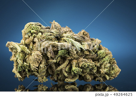 Cbd Concept, Medical Marijuana, cannabis and blue 49264625