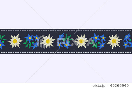 Seamless pattern border with edelweiss 49266949