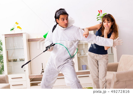 Young professional contractor doing pest control at flat Young professional contractor doing pest control at flat 49272816