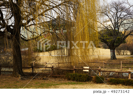 春先 風景 京畿道 49273142