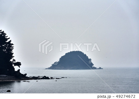 春先 風景 仁川 49274672