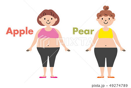 肥満 タイプ 女性 イラストのイラスト素材