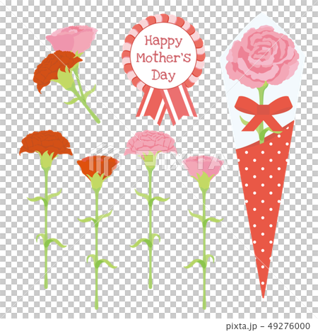 Mother's Day Carnation Set 49276000