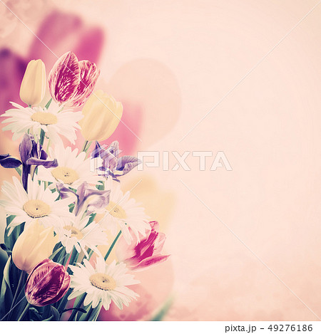 Lovely flowers Lovely flowers 49276186