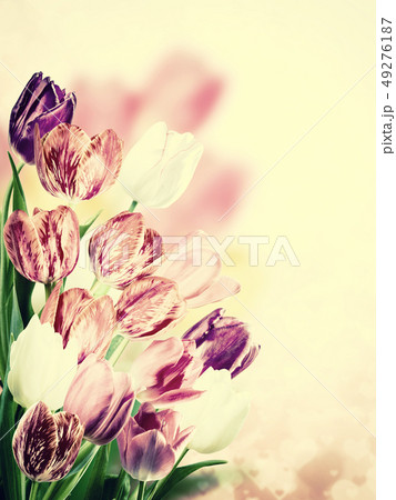 Lovely flowers Lovely flowers 49276187