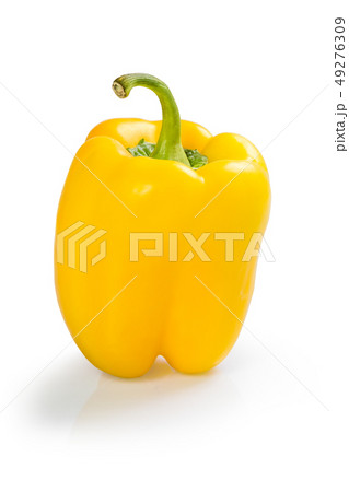 Yellow paprika isolated Yellow paprika isolated 49276309